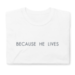 Load image into Gallery viewer, Because He Lives Tee (White &amp; Grey)
