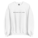 Load image into Gallery viewer, Because He Lives  *Embroidered* Sweatshirt
